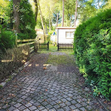 Gerenoveerd Met Tuin *