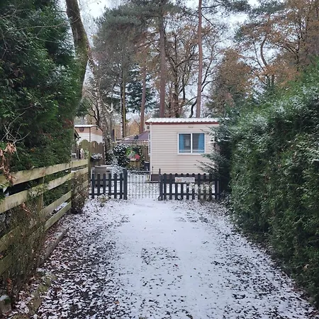 Gezellig Op De Veluwe Met Omheinde Tuin הונדרלו