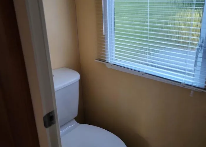 Gezellig Op De Veluwe Met Omheinde Tuin Chalet