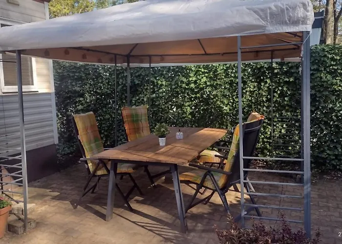 Gezellig Op De Veluwe Met Omheinde Tuin Chalet