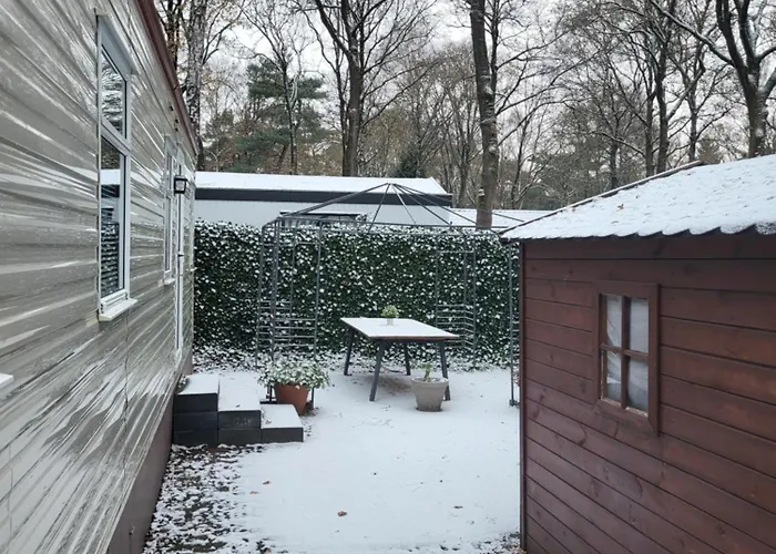 Gezellig Op De Veluwe Met Omheinde Tuin Chalet Hoenderloo