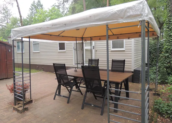 Gezellig Op De Veluwe Met Omheinde Tuin