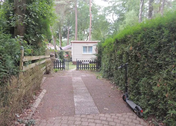 Gezellig Op De Veluwe Met Omheinde Tuin Chalet