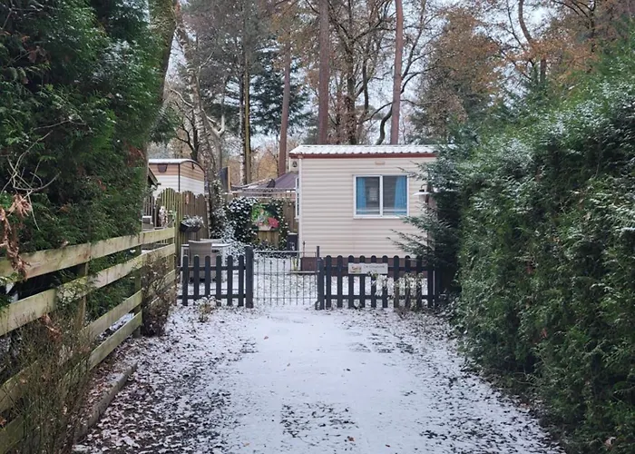 Gezellig Op De Veluwe Met Omheinde Tuin הונדרלו