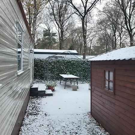 Gezellig Op De Veluwe Met Omheinde Tuin Chalet Hoenderloo